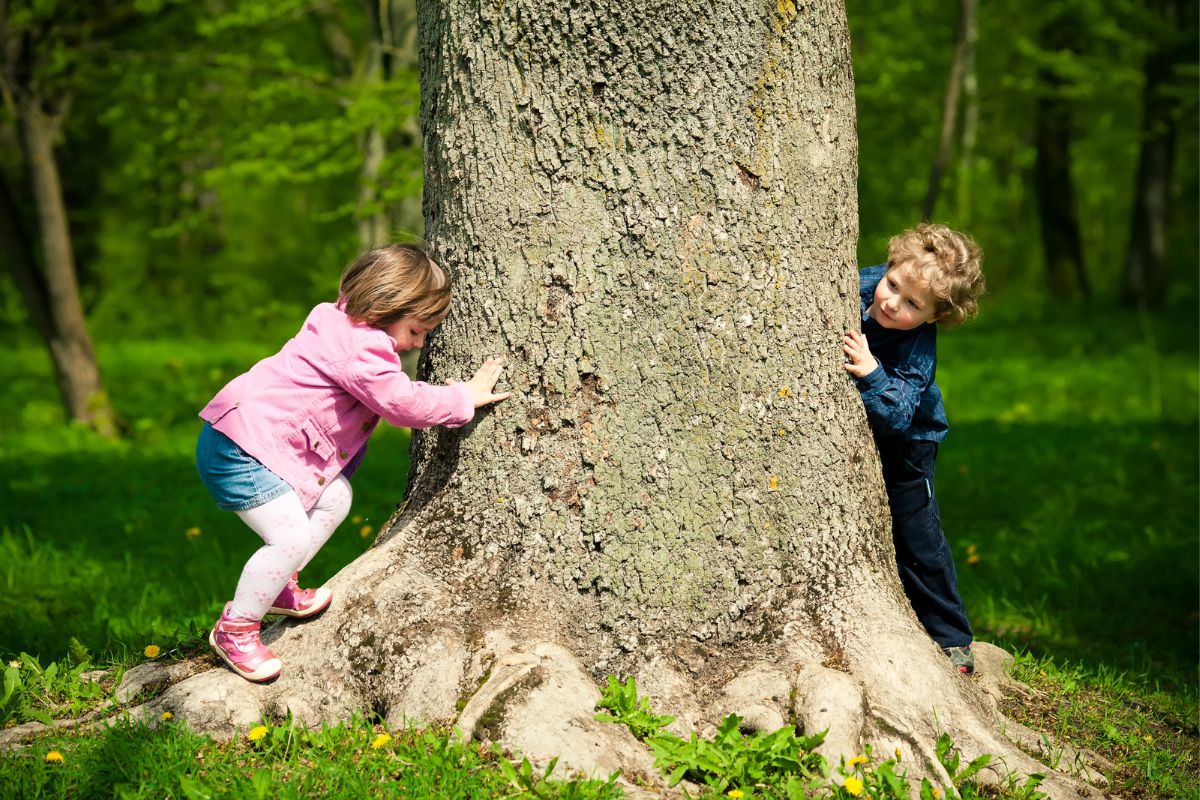 2 kids playing hide and go seek around a huge tree trunk