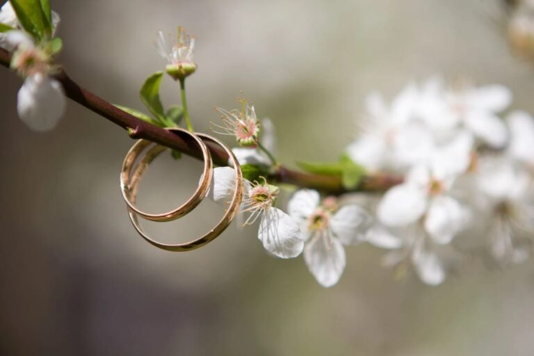 Two wedding rings on a flower